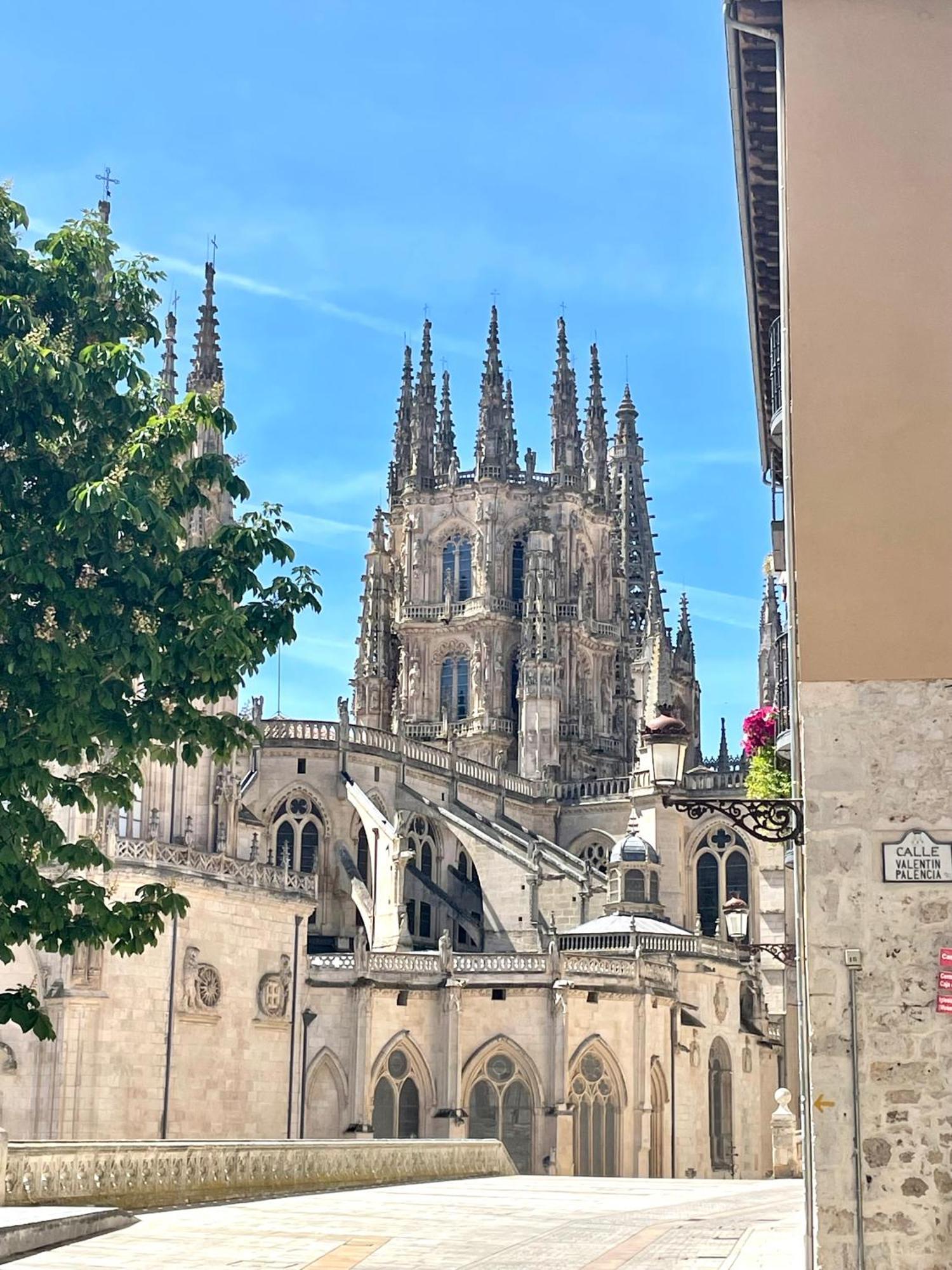Apartament Moderno Y Acogedor En La Catedral Burgo Zewnętrze zdjęcie